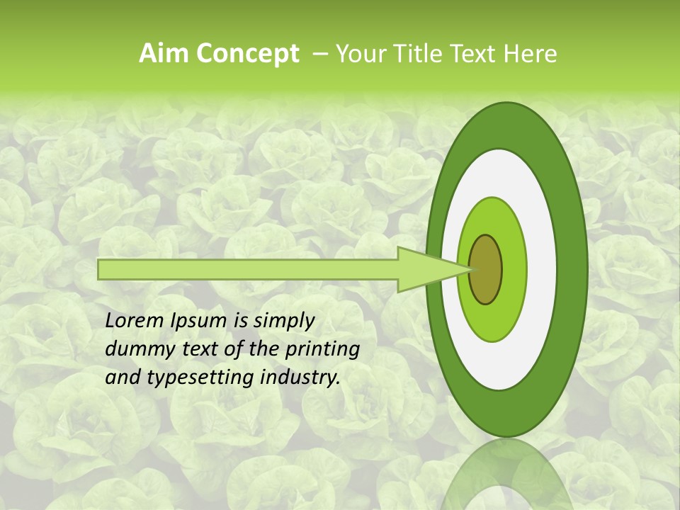 Rows Of Fresh Green Lettuce PowerPoint Template