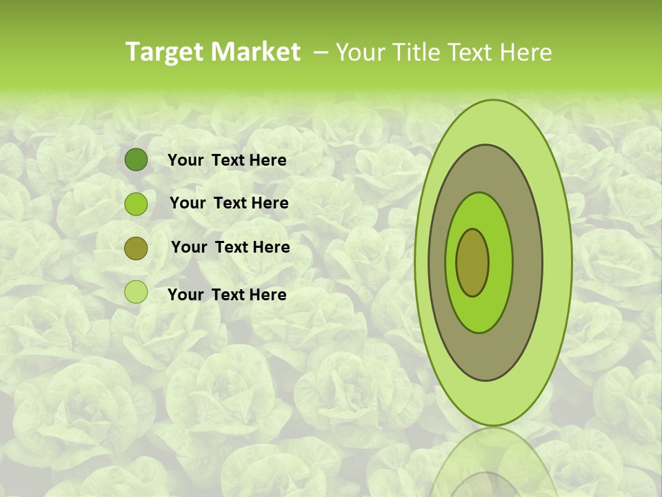Rows Of Fresh Green Lettuce PowerPoint Template
