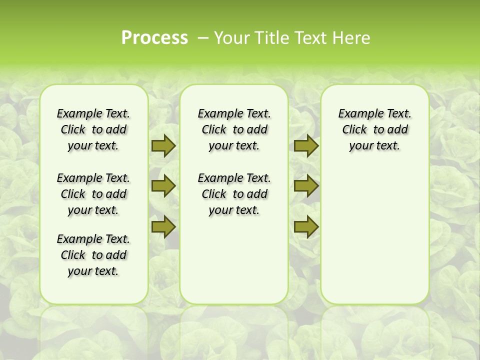 Rows Of Fresh Green Lettuce PowerPoint Template