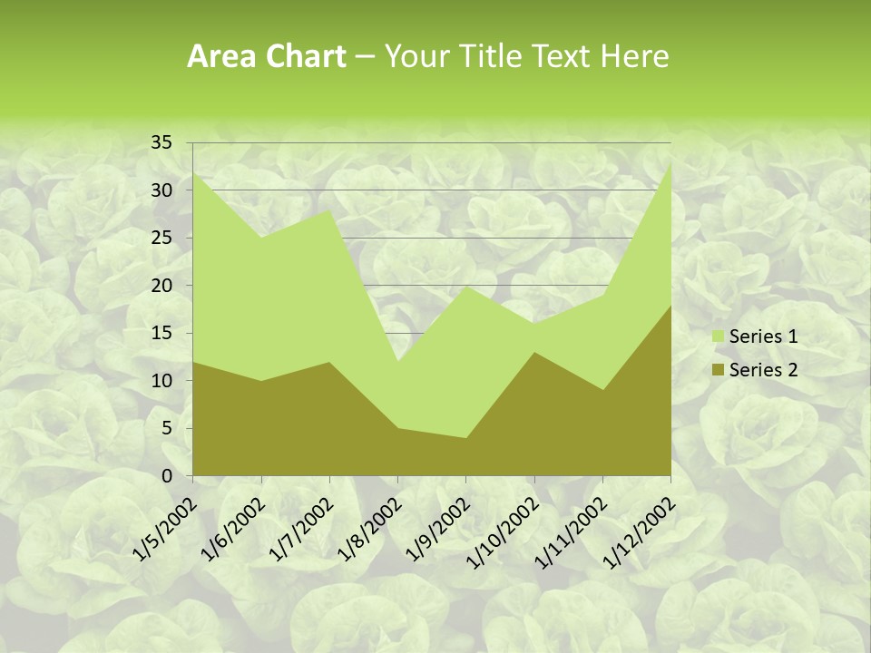 Rows Of Fresh Green Lettuce PowerPoint Template