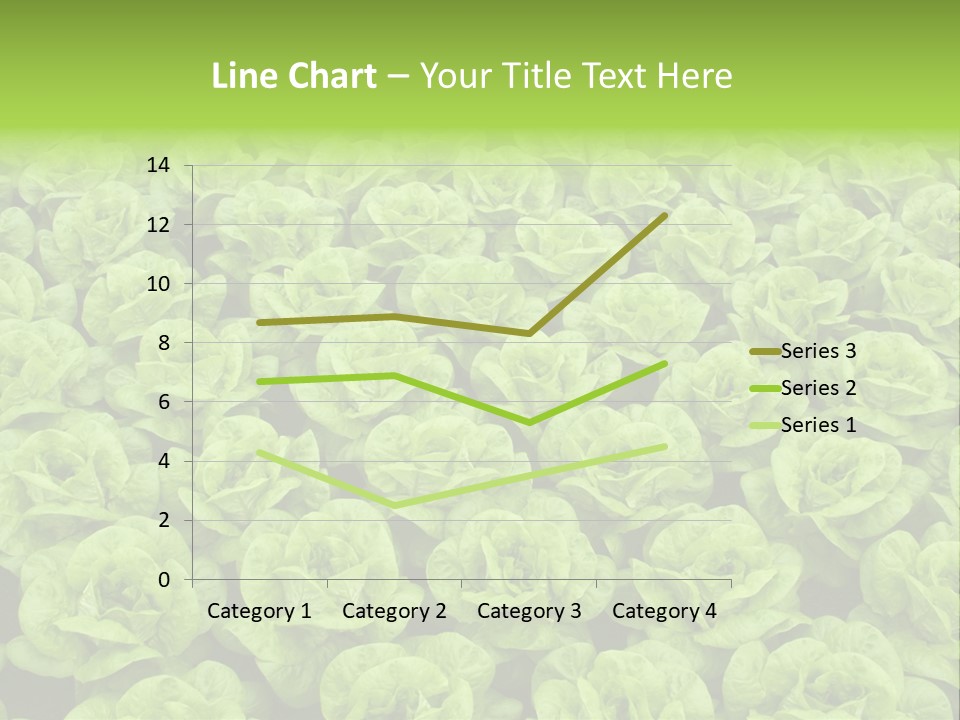 Rows Of Fresh Green Lettuce PowerPoint Template
