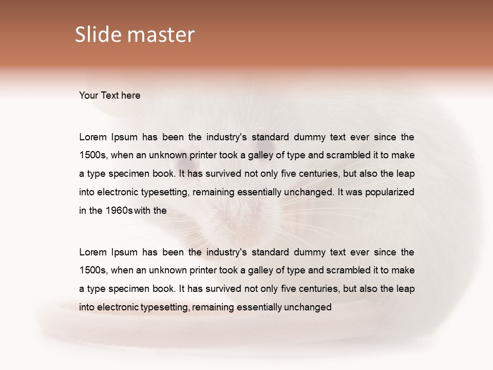 White Mouse In Front Of A White Background PowerPoint Template