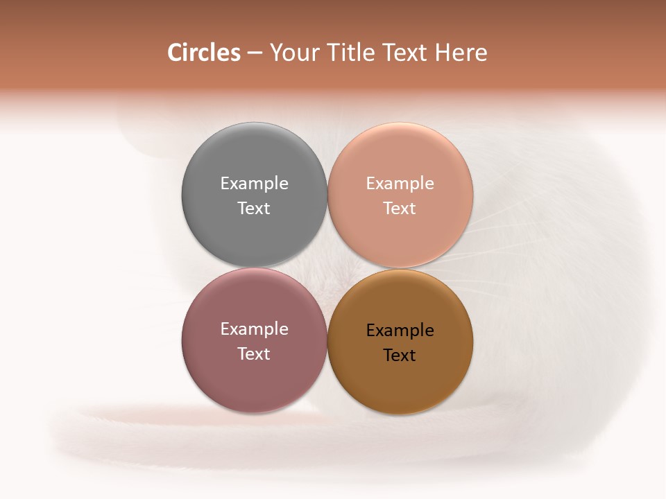 White Mouse In Front Of A White Background PowerPoint Template