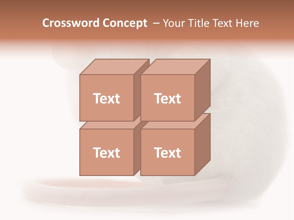 White Mouse In Front Of A White Background PowerPoint Template