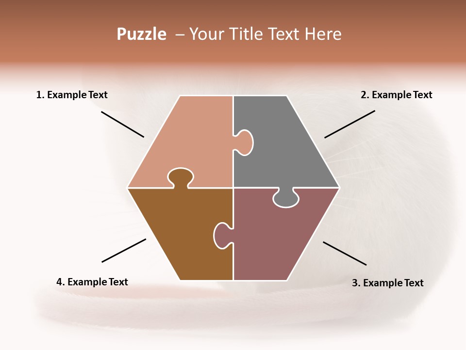 White Mouse In Front Of A White Background PowerPoint Template