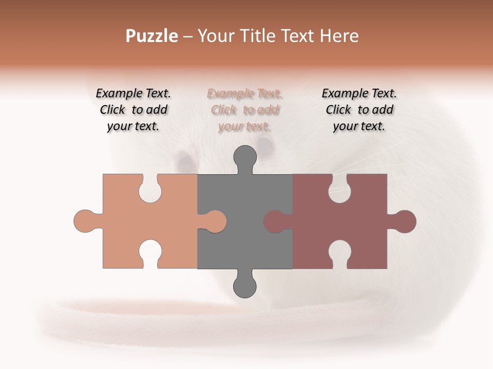 White Mouse In Front Of A White Background PowerPoint Template