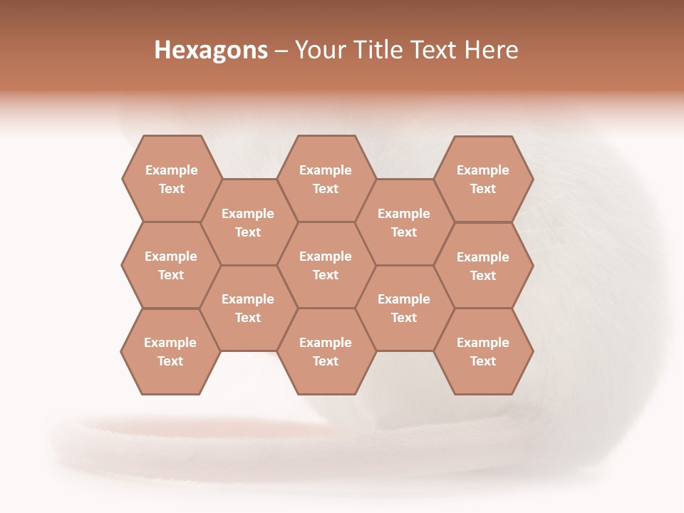 White Mouse In Front Of A White Background PowerPoint Template