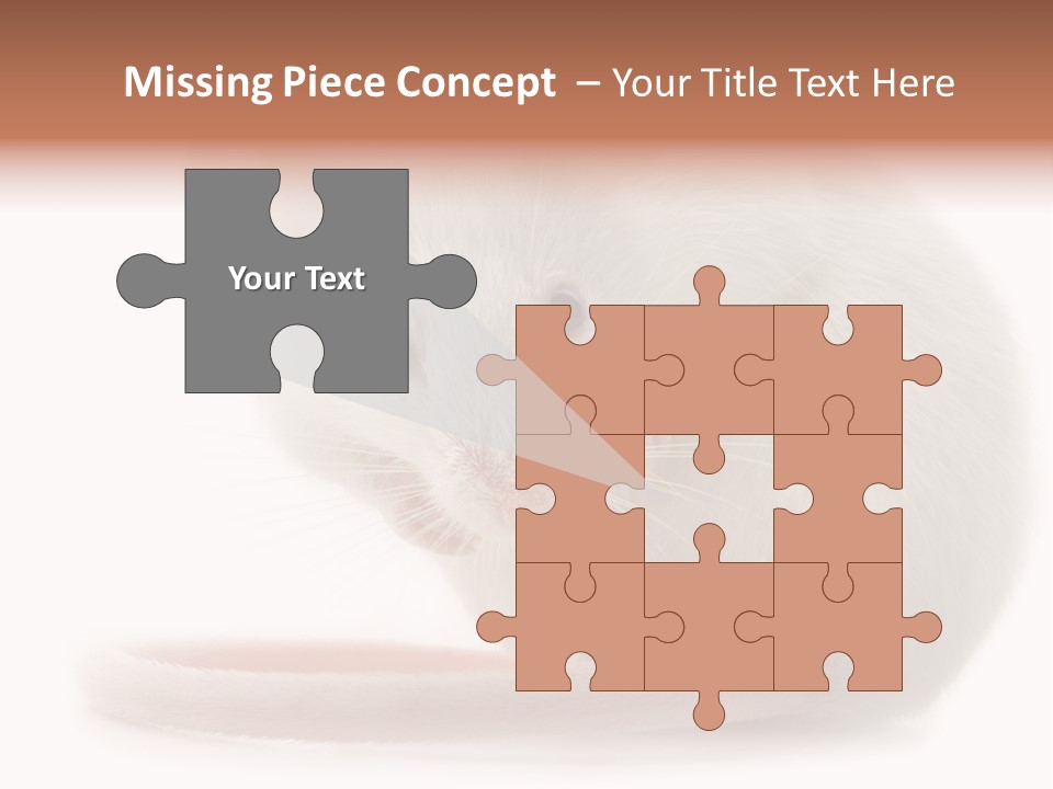 White Mouse In Front Of A White Background PowerPoint Template