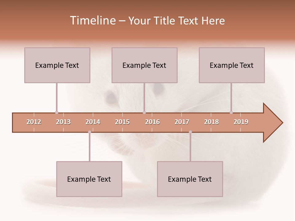 White Mouse In Front Of A White Background PowerPoint Template