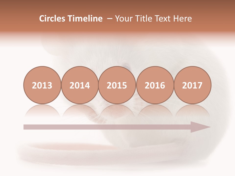 White Mouse In Front Of A White Background PowerPoint Template