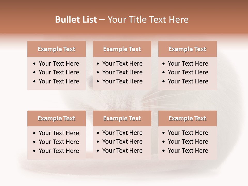 White Mouse In Front Of A White Background PowerPoint Template