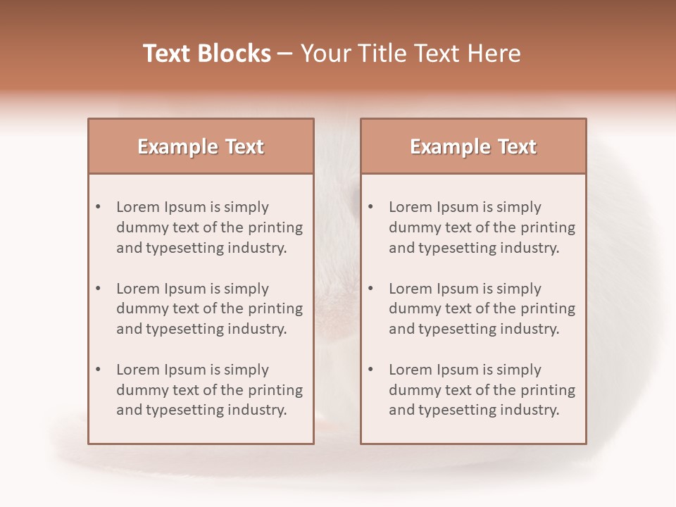 White Mouse In Front Of A White Background PowerPoint Template