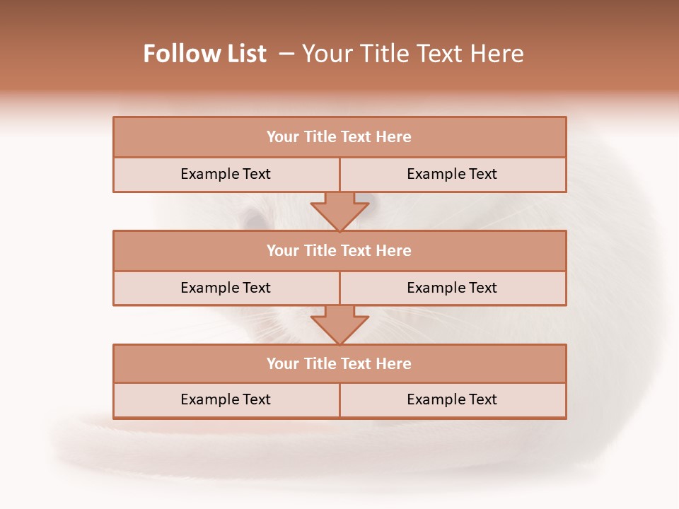 White Mouse In Front Of A White Background PowerPoint Template