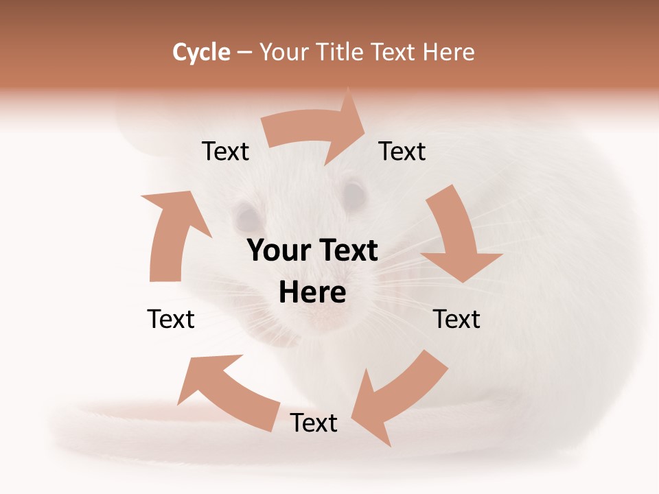 White Mouse In Front Of A White Background PowerPoint Template