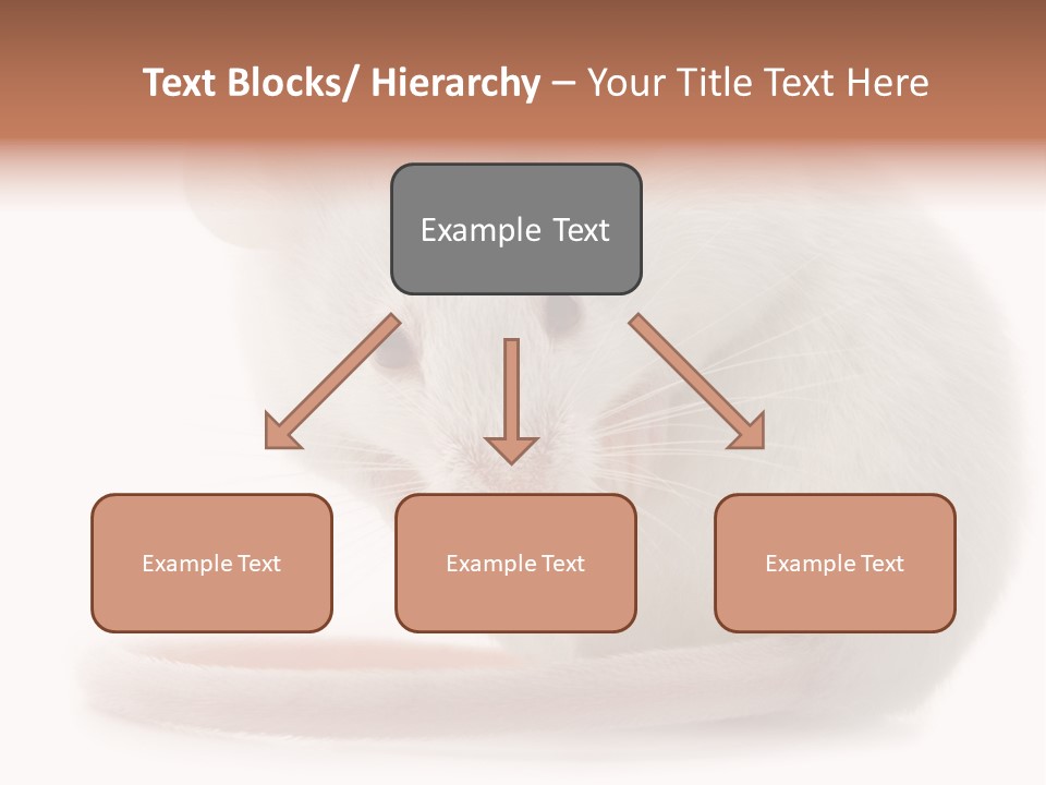 White Mouse In Front Of A White Background PowerPoint Template