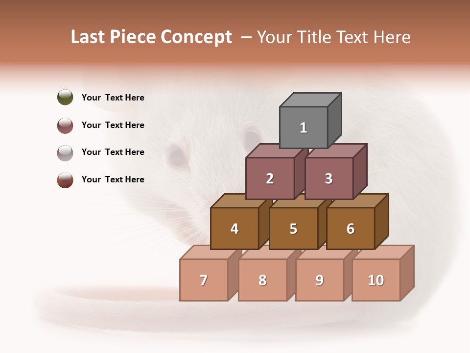 White Mouse In Front Of A White Background PowerPoint Template