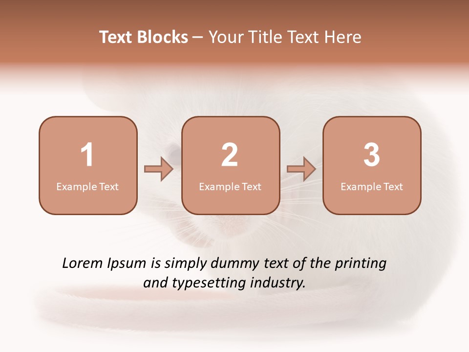 White Mouse In Front Of A White Background PowerPoint Template