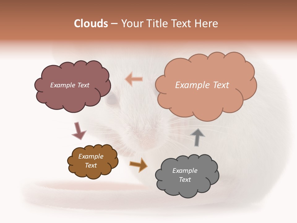 White Mouse In Front Of A White Background PowerPoint Template