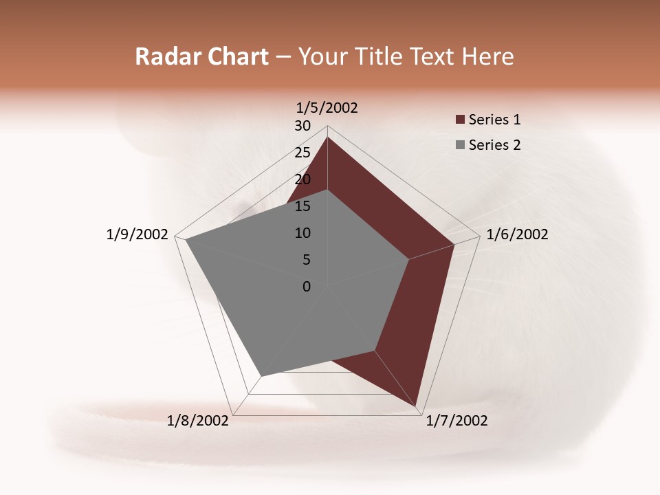 White Mouse In Front Of A White Background PowerPoint Template