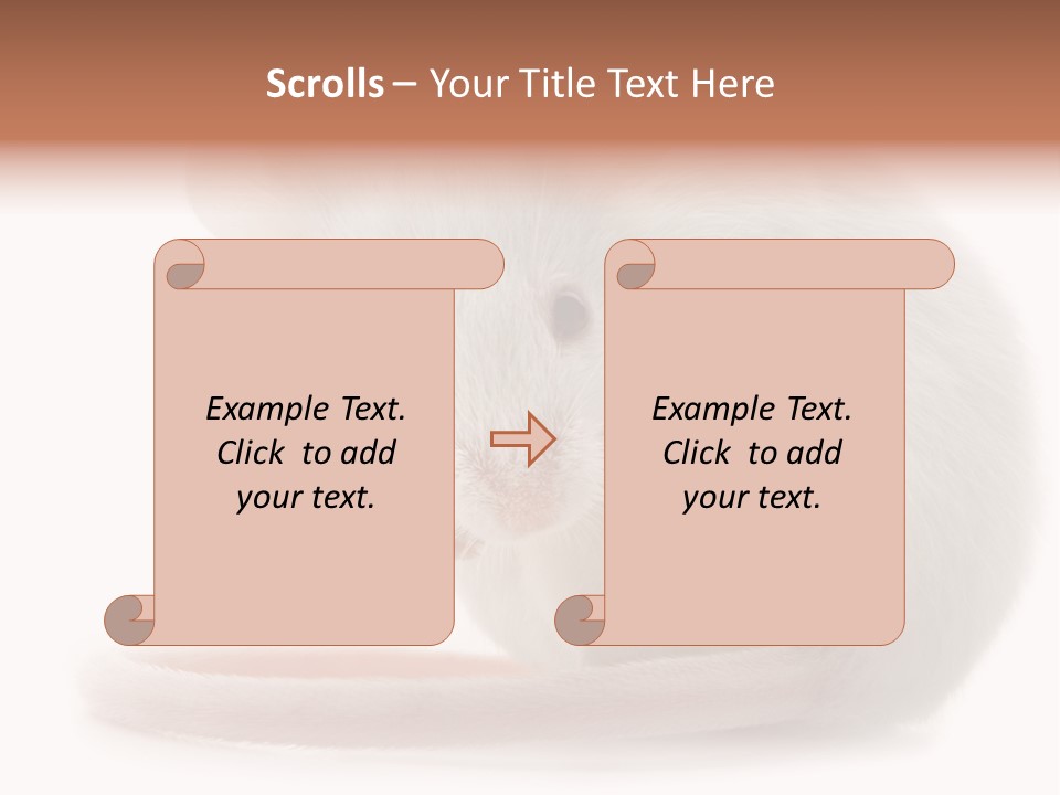 White Mouse In Front Of A White Background PowerPoint Template