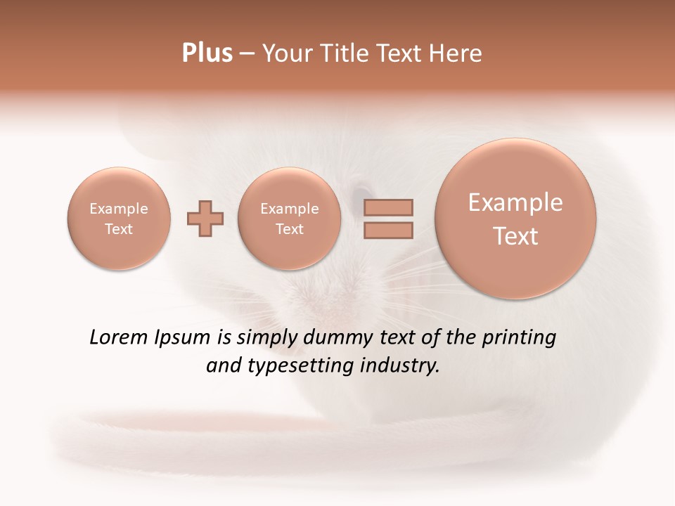 White Mouse In Front Of A White Background PowerPoint Template