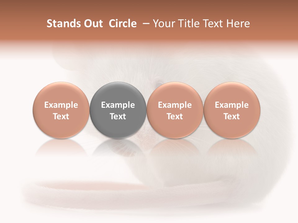 White Mouse In Front Of A White Background PowerPoint Template