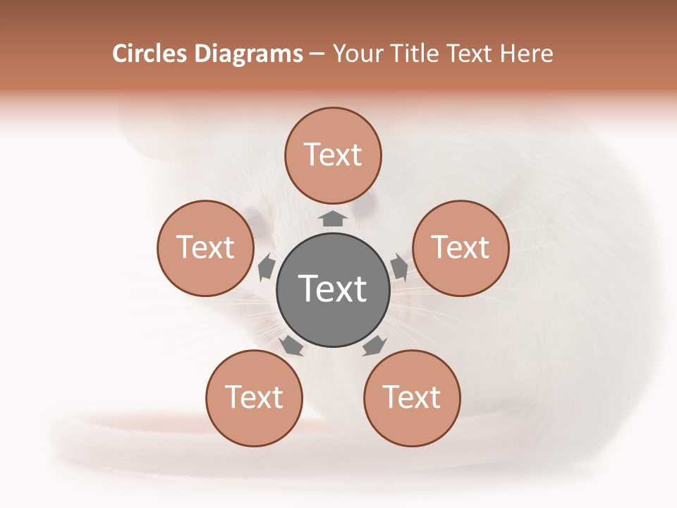 White Mouse In Front Of A White Background PowerPoint Template