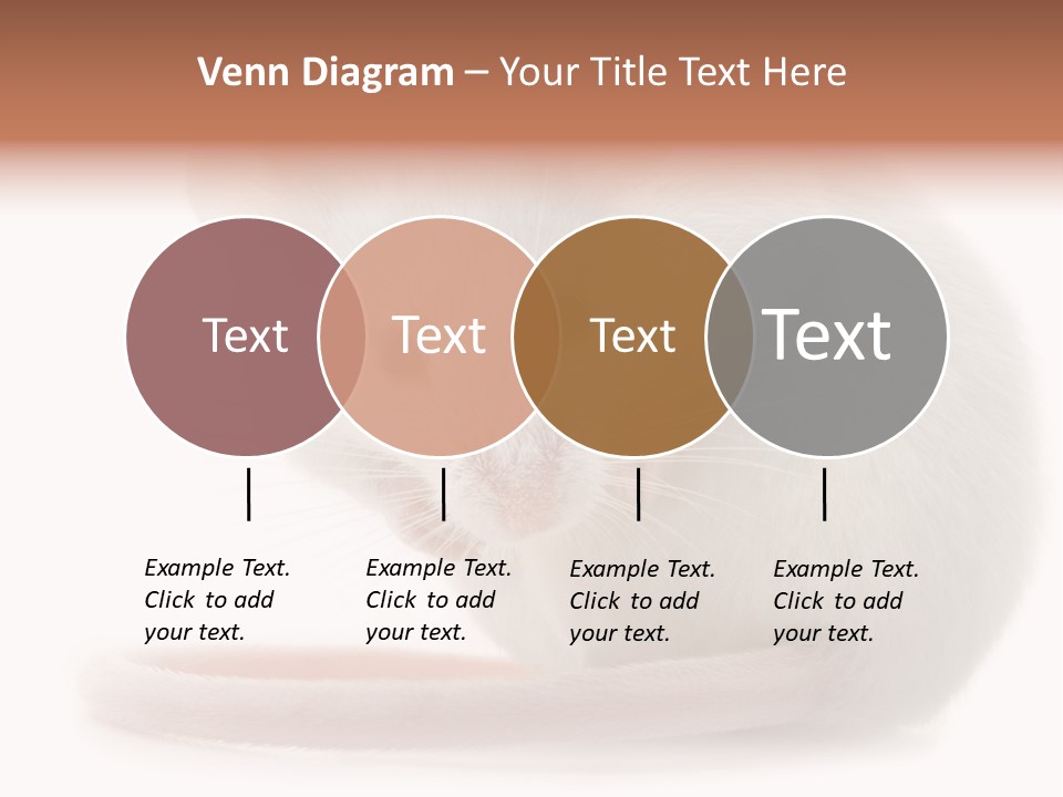 White Mouse In Front Of A White Background PowerPoint Template