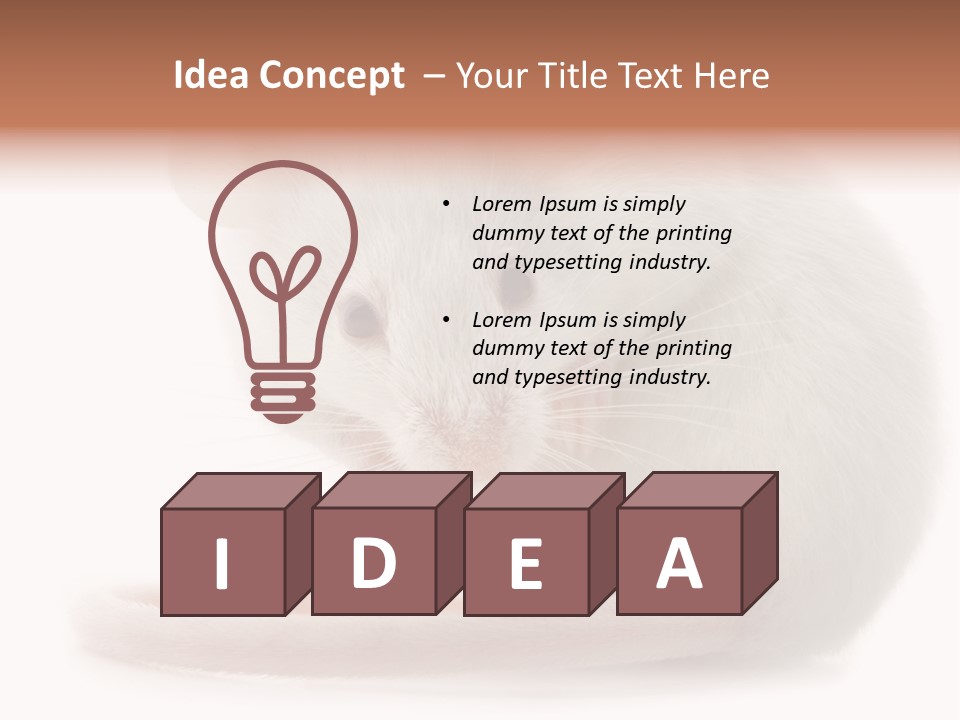 White Mouse In Front Of A White Background PowerPoint Template