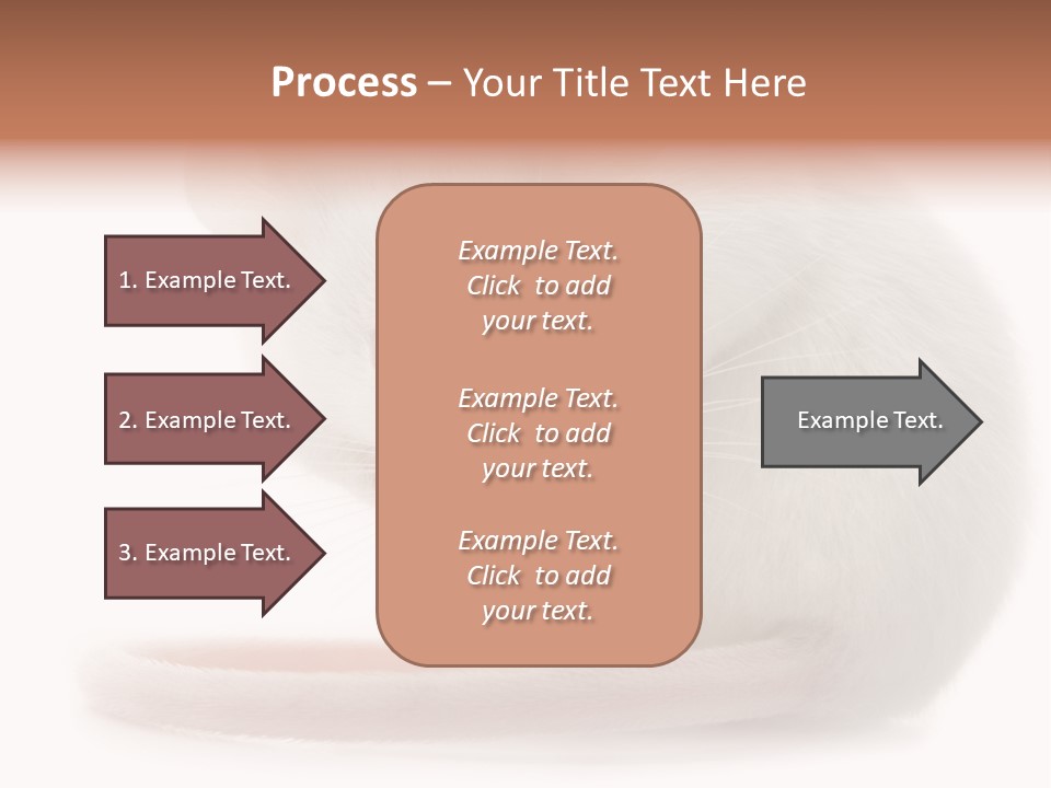 White Mouse In Front Of A White Background PowerPoint Template