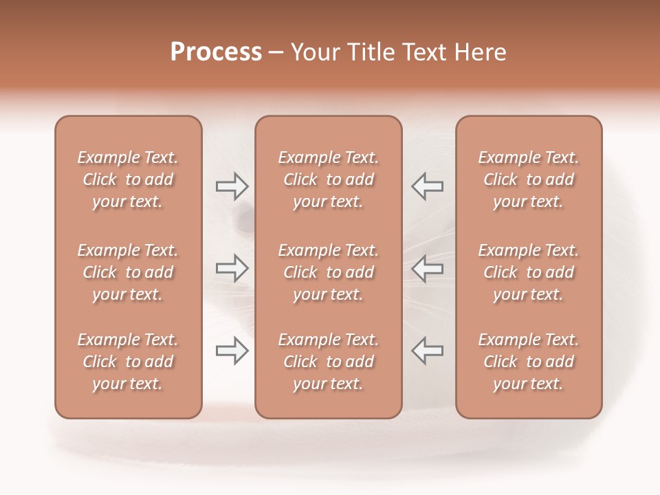 White Mouse In Front Of A White Background PowerPoint Template