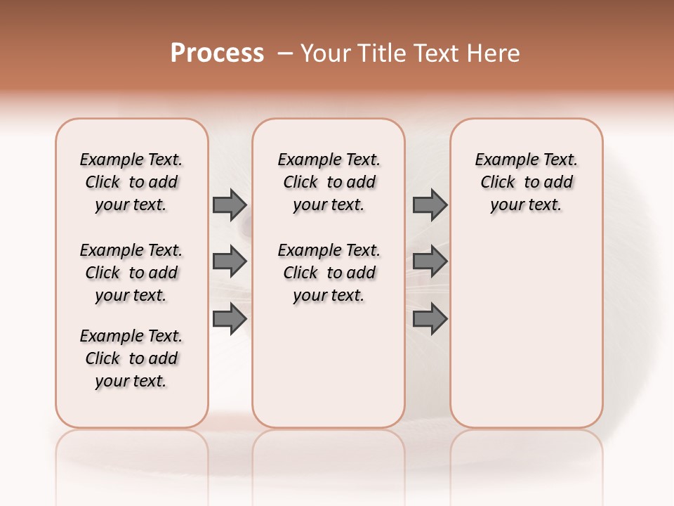 White Mouse In Front Of A White Background PowerPoint Template