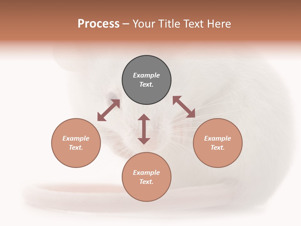 White Mouse In Front Of A White Background PowerPoint Template