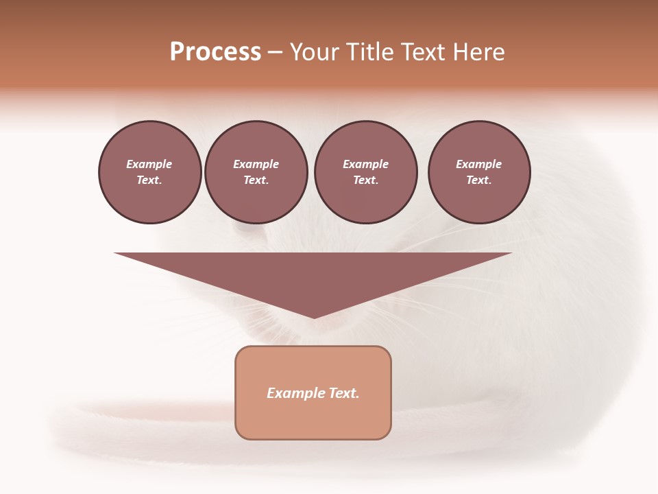 White Mouse In Front Of A White Background PowerPoint Template