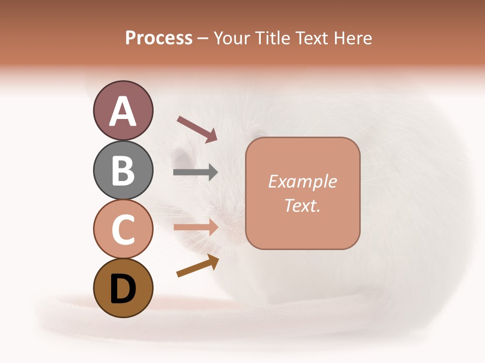 White Mouse In Front Of A White Background PowerPoint Template