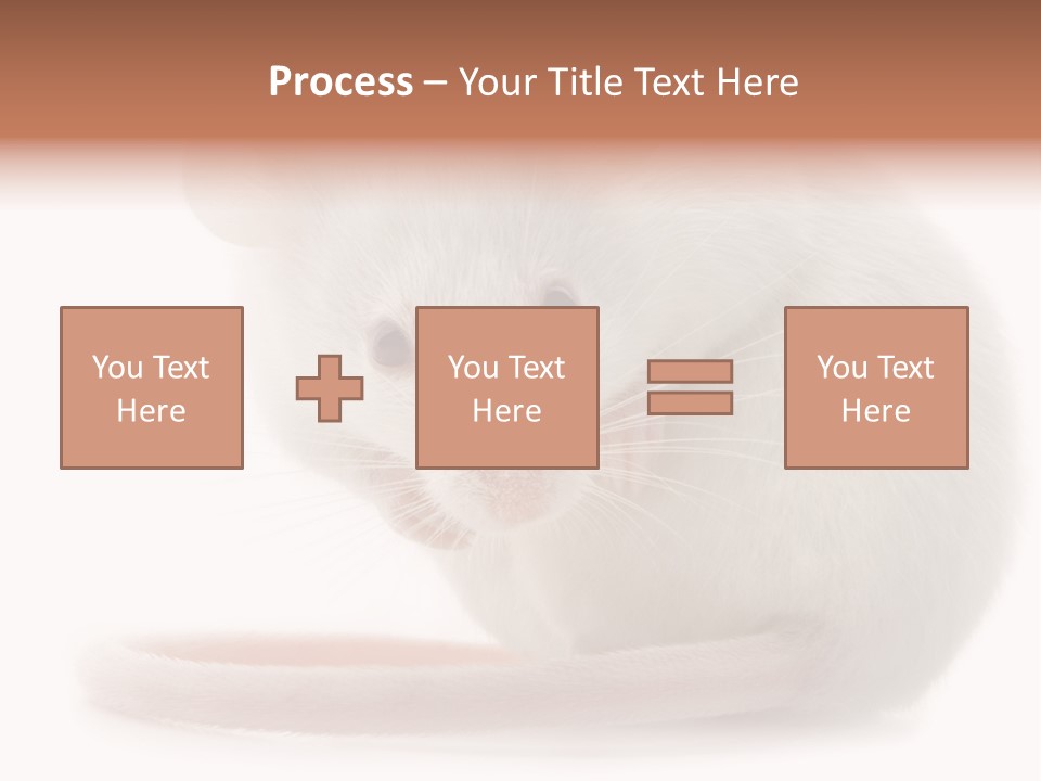 White Mouse In Front Of A White Background PowerPoint Template