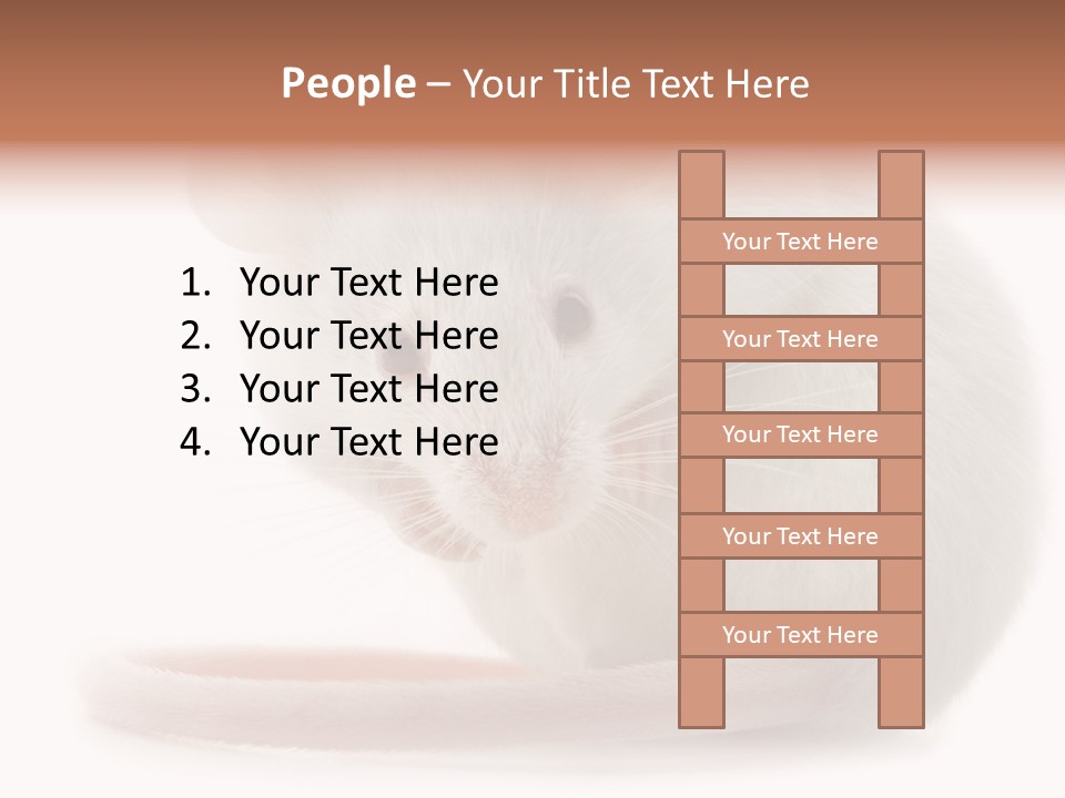 White Mouse In Front Of A White Background PowerPoint Template