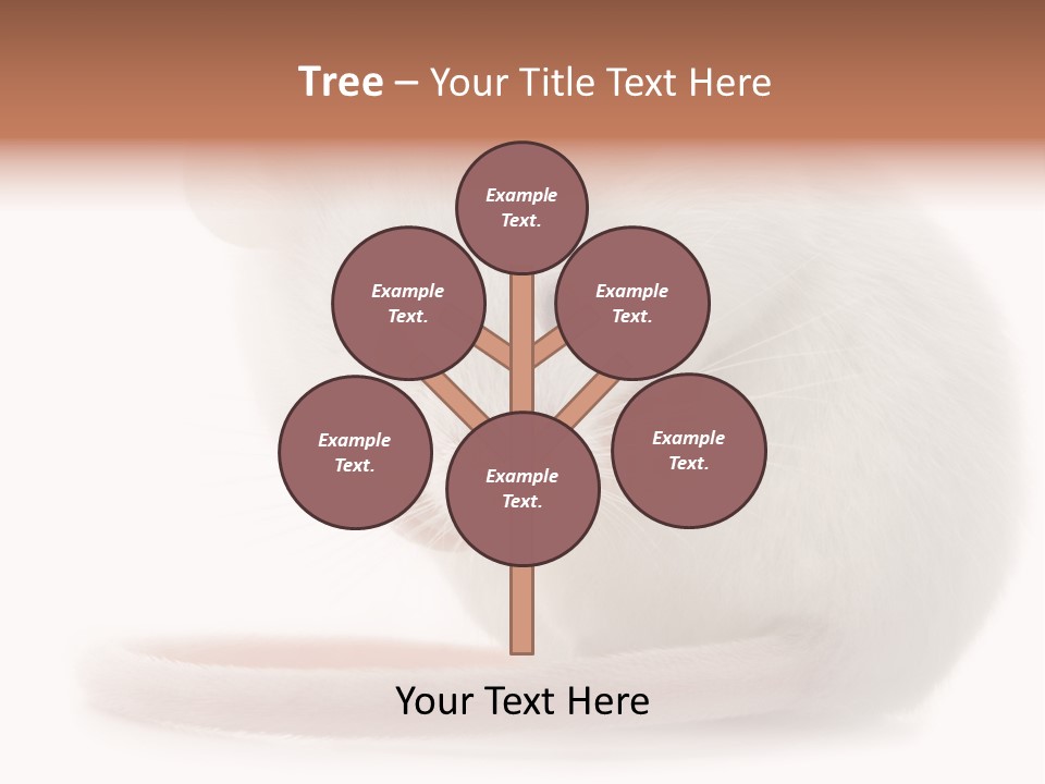 White Mouse In Front Of A White Background PowerPoint Template