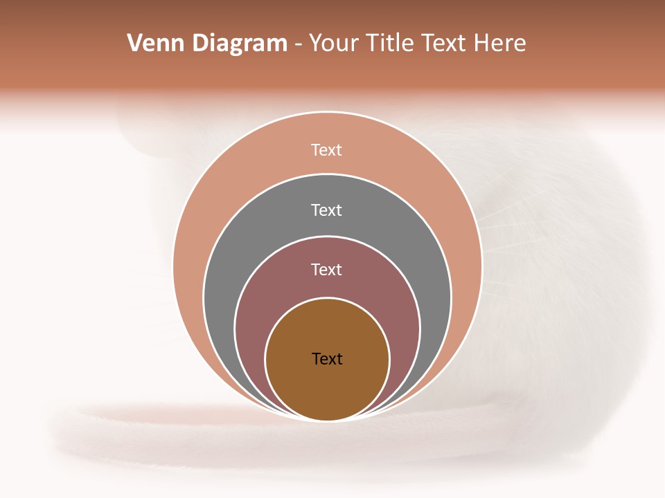 White Mouse In Front Of A White Background PowerPoint Template