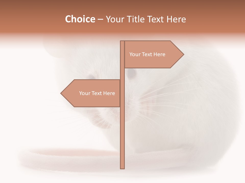 White Mouse In Front Of A White Background PowerPoint Template