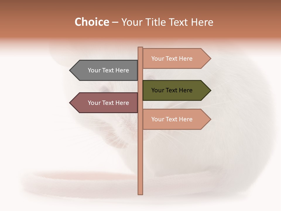 White Mouse In Front Of A White Background PowerPoint Template