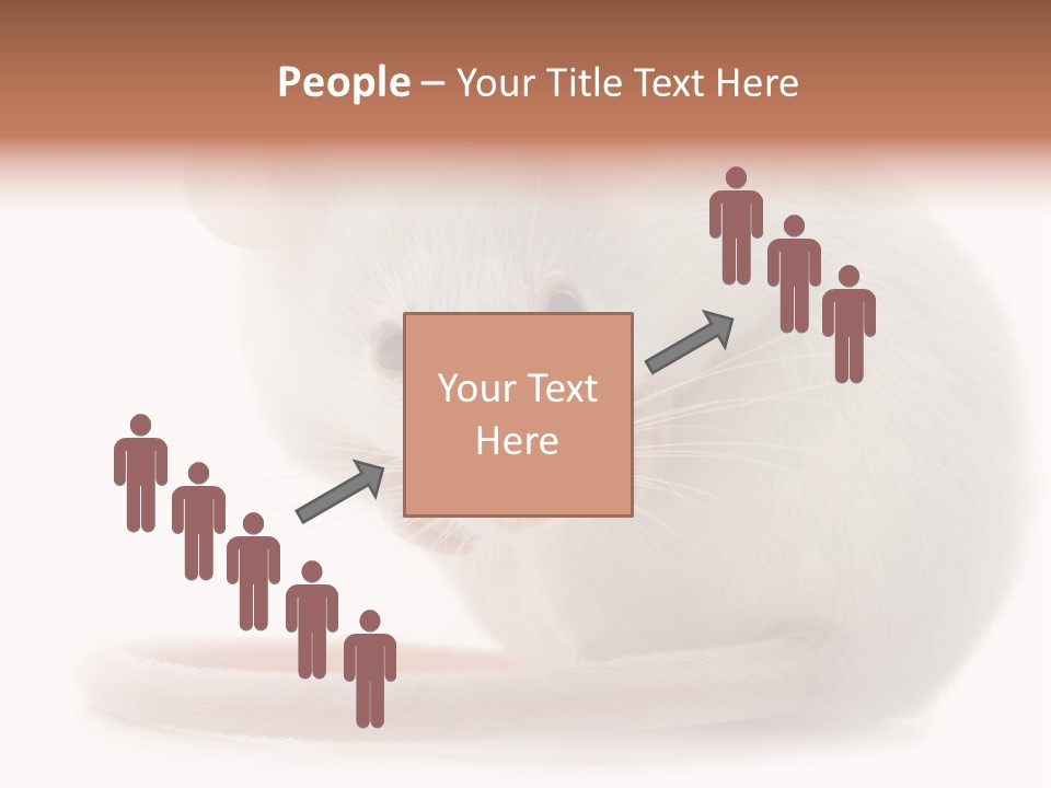 White Mouse In Front Of A White Background PowerPoint Template