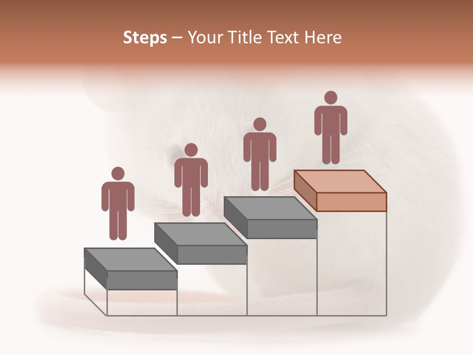 White Mouse In Front Of A White Background PowerPoint Template