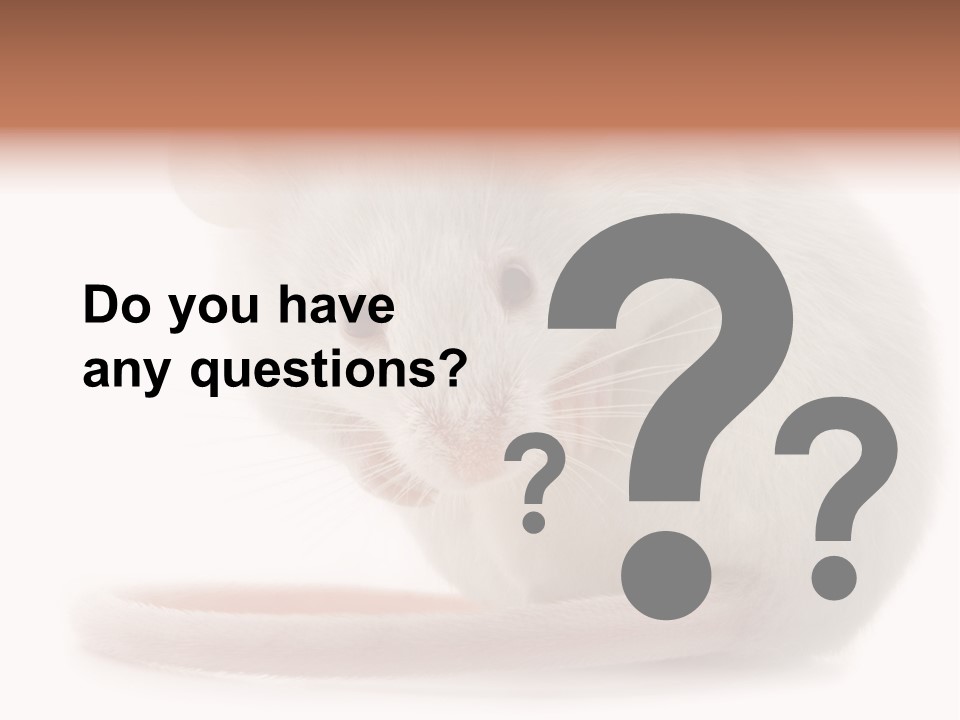 White Mouse In Front Of A White Background PowerPoint Template