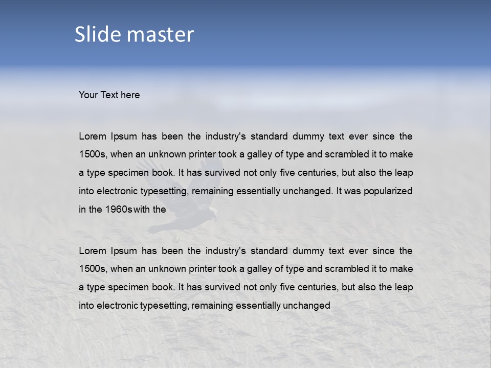 Stylized Valentine Heart Made From Two Swashes And Isolated On White. PowerPoint Template