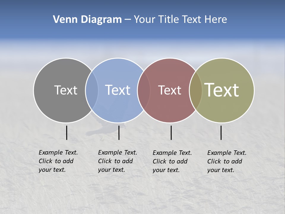 Stylized Valentine Heart Made From Two Swashes And Isolated On White. PowerPoint Template