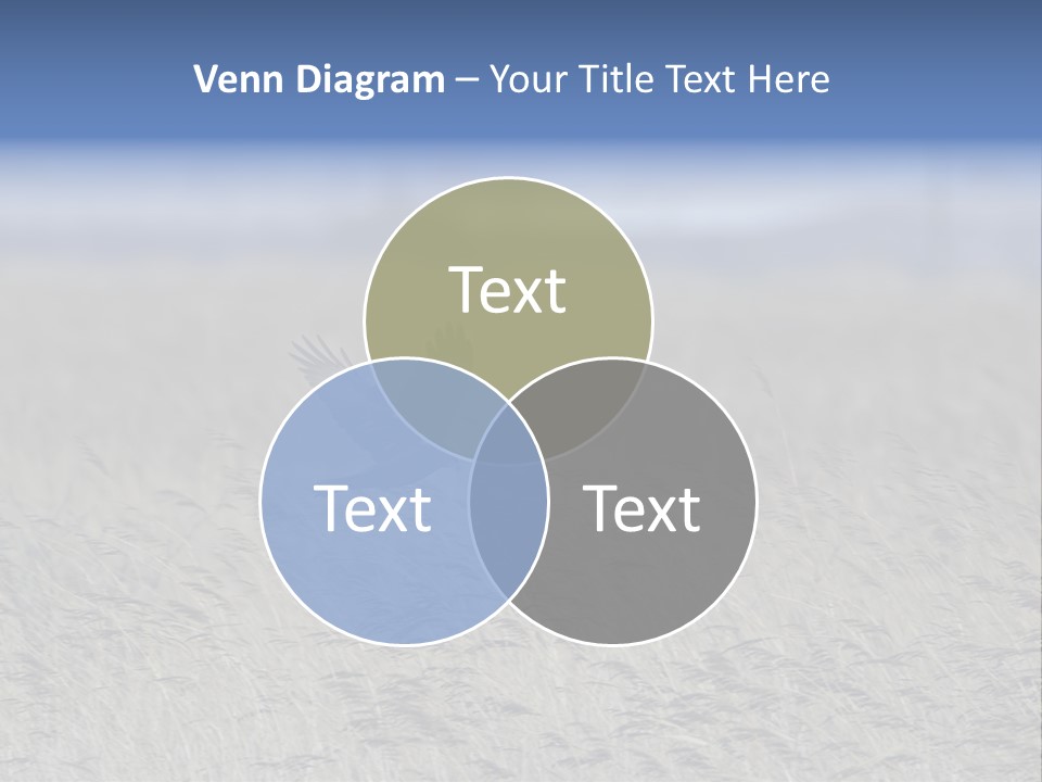 Stylized Valentine Heart Made From Two Swashes And Isolated On White. PowerPoint Template