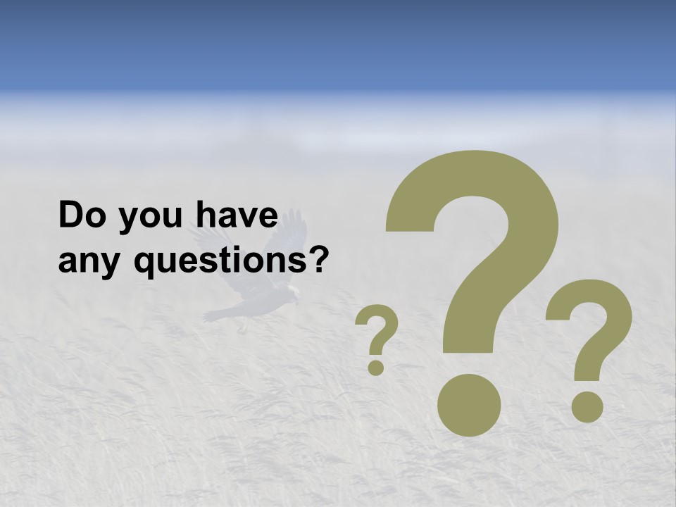 Stylized Valentine Heart Made From Two Swashes And Isolated On White. PowerPoint Template