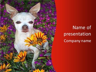 Penny In Flowers PowerPoint Template