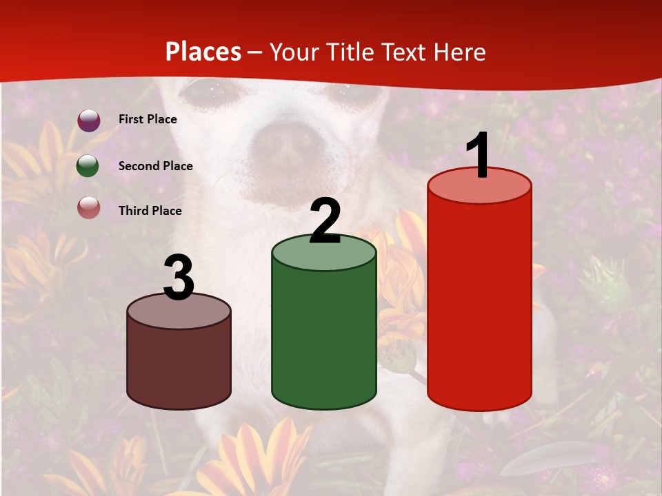 Penny In Flowers PowerPoint Template
